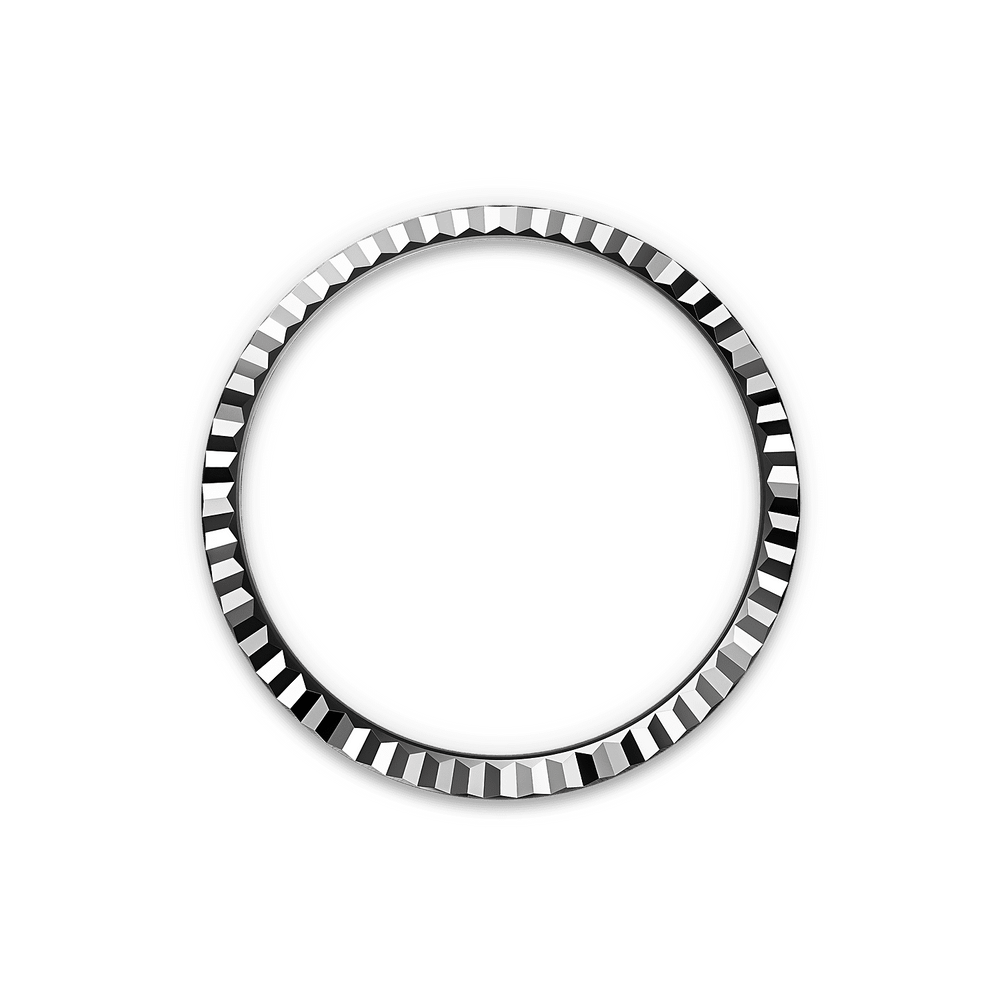 Land-Dweller 36mm Oystersteel & White Gold M127234-0001
