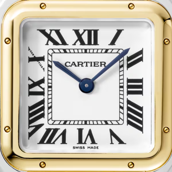 Unworn Panthère, Stainless Steel, 18k Yellow Gold, 29mm x 37mm, Ref# W2PN0007, box and papers