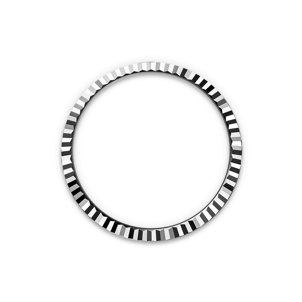 Land-Dweller 40mm Oystersteel & White Gold M127334-0001